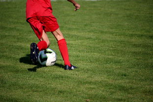 九游电脑版-篮球运动员心理韧性培养与干预体系，篮球运动员的心理选材