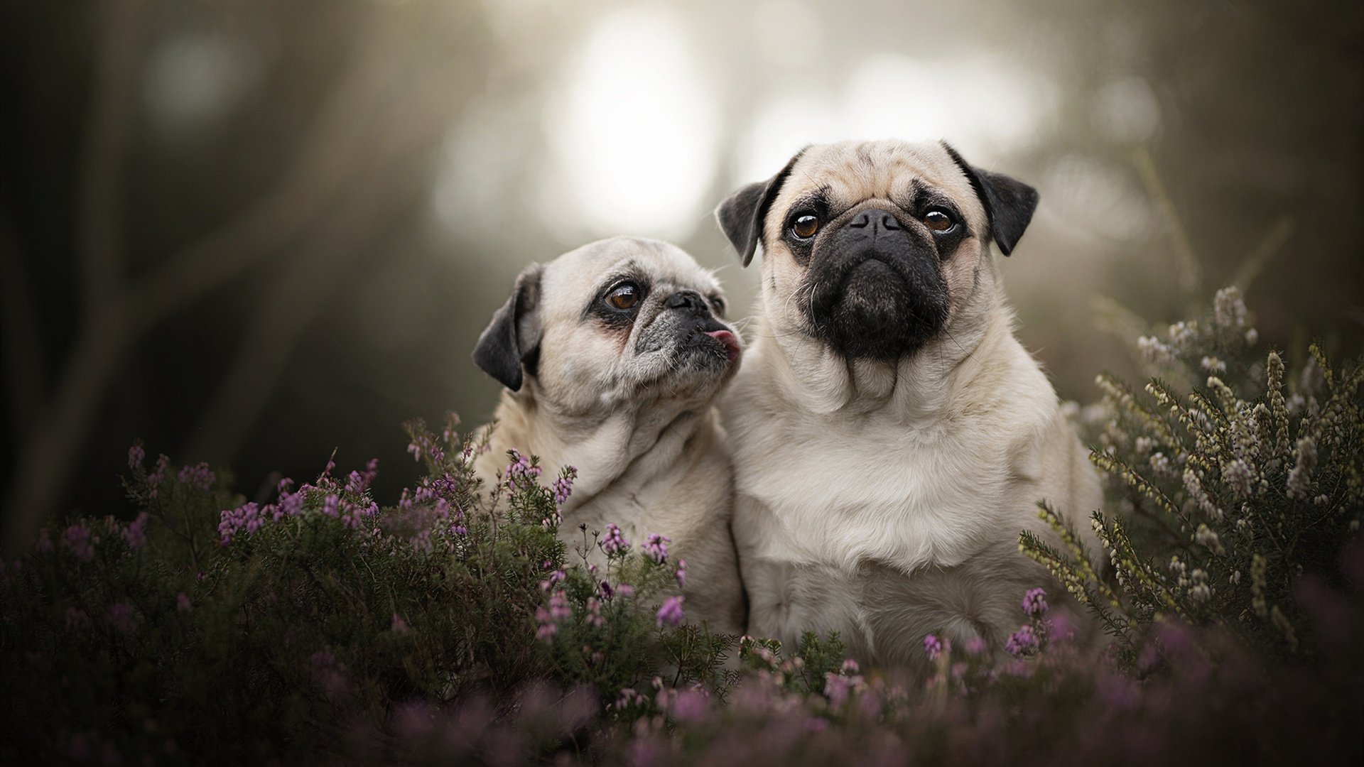 “东部新区徒步定向越野:智慧与耐力的完美较量”