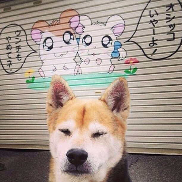 突尼斯希望高强度逼抢对抗激烈,突尼斯的首都是哪个城市