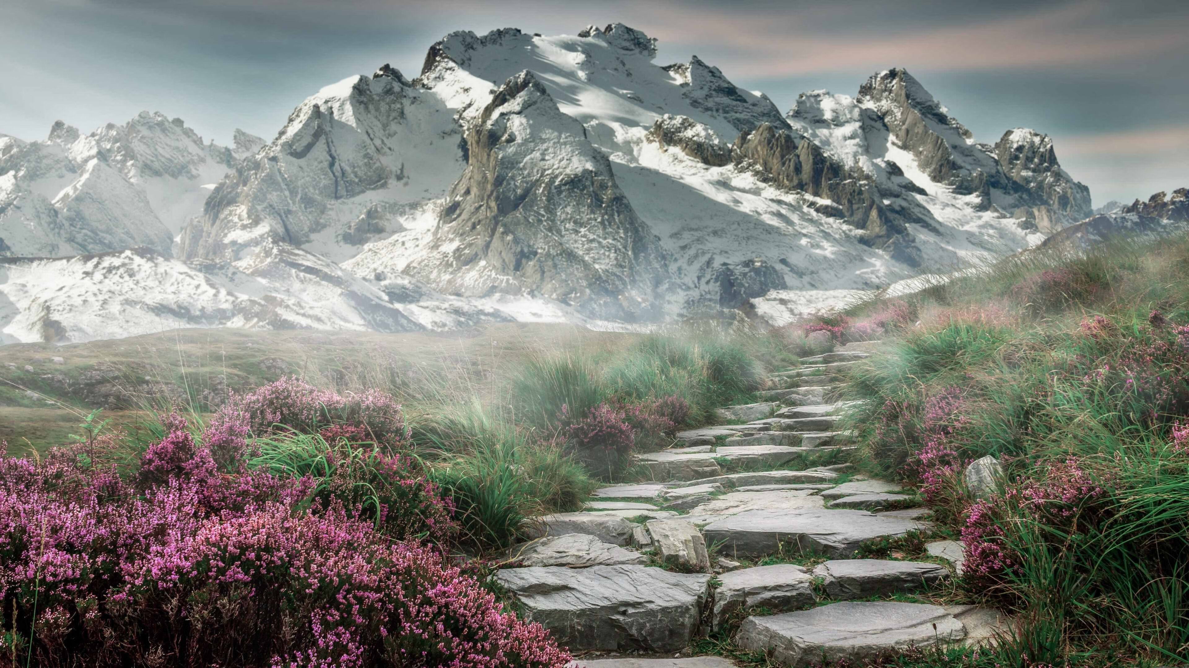 自由搏击赛事影响力扩大,自由搏击赛事影响力扩大的例子