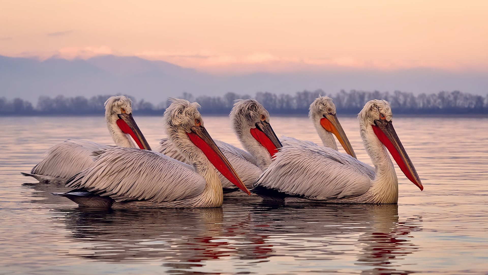 中国足球国家队体能训练方案科学优化，中国足协体能测试标准