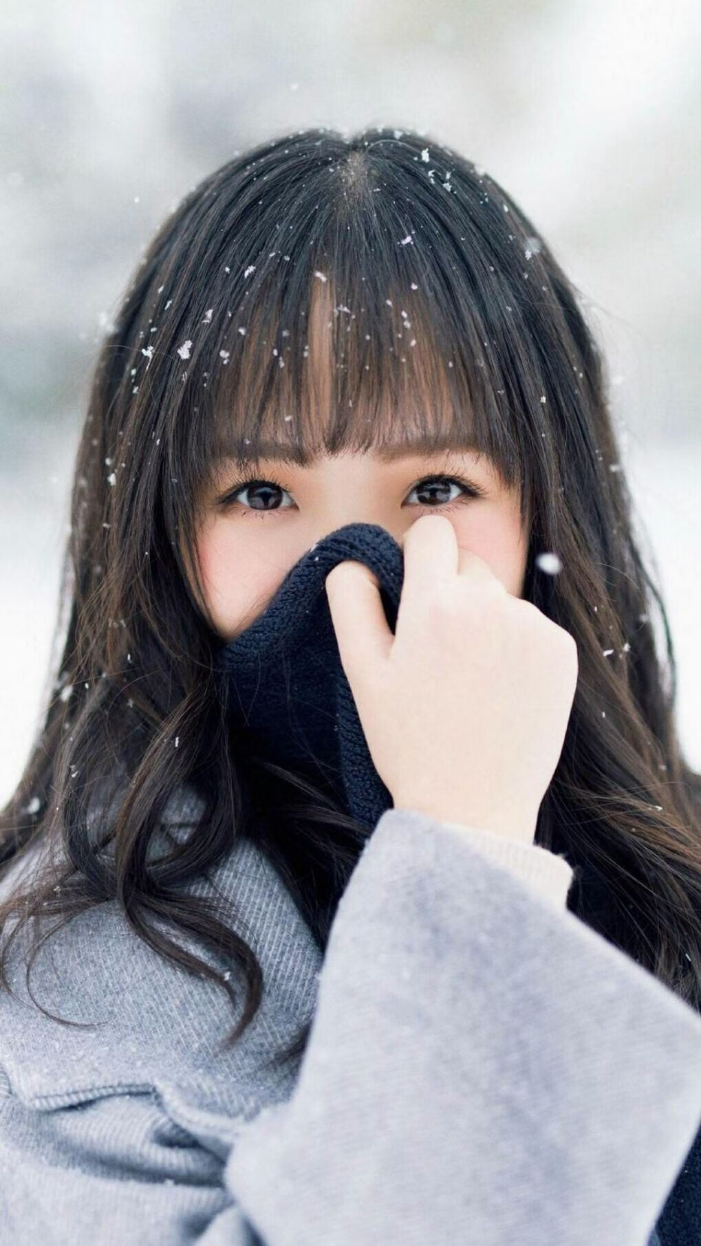 南非橄榄球队的战略转型：迎接全球化挑战，南非的橄榄球水平怎么样