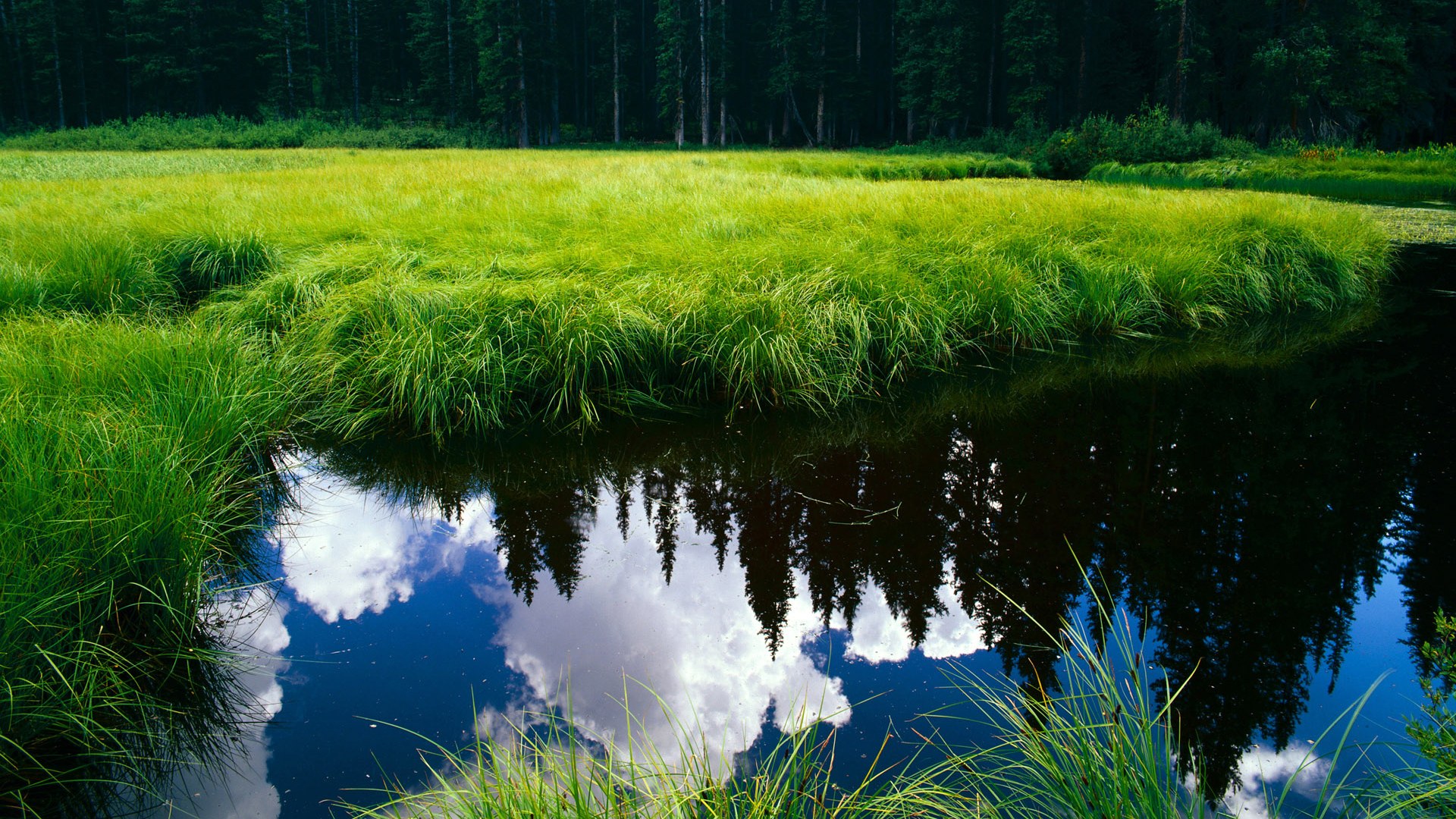 九游电脑版-塞内加尔男篮在非洲锦标赛中奋勇拼搏，争夺佳绩，非洲杯塞内加尔阵容